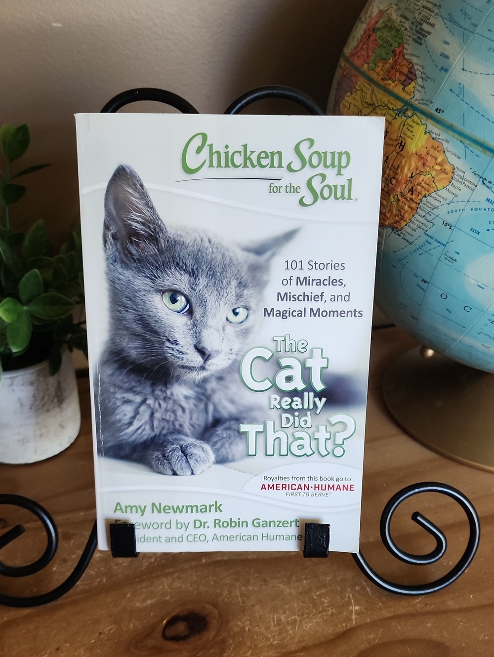 The Cat Really Did That? Paperback